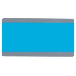 Large Blue Reading Guide