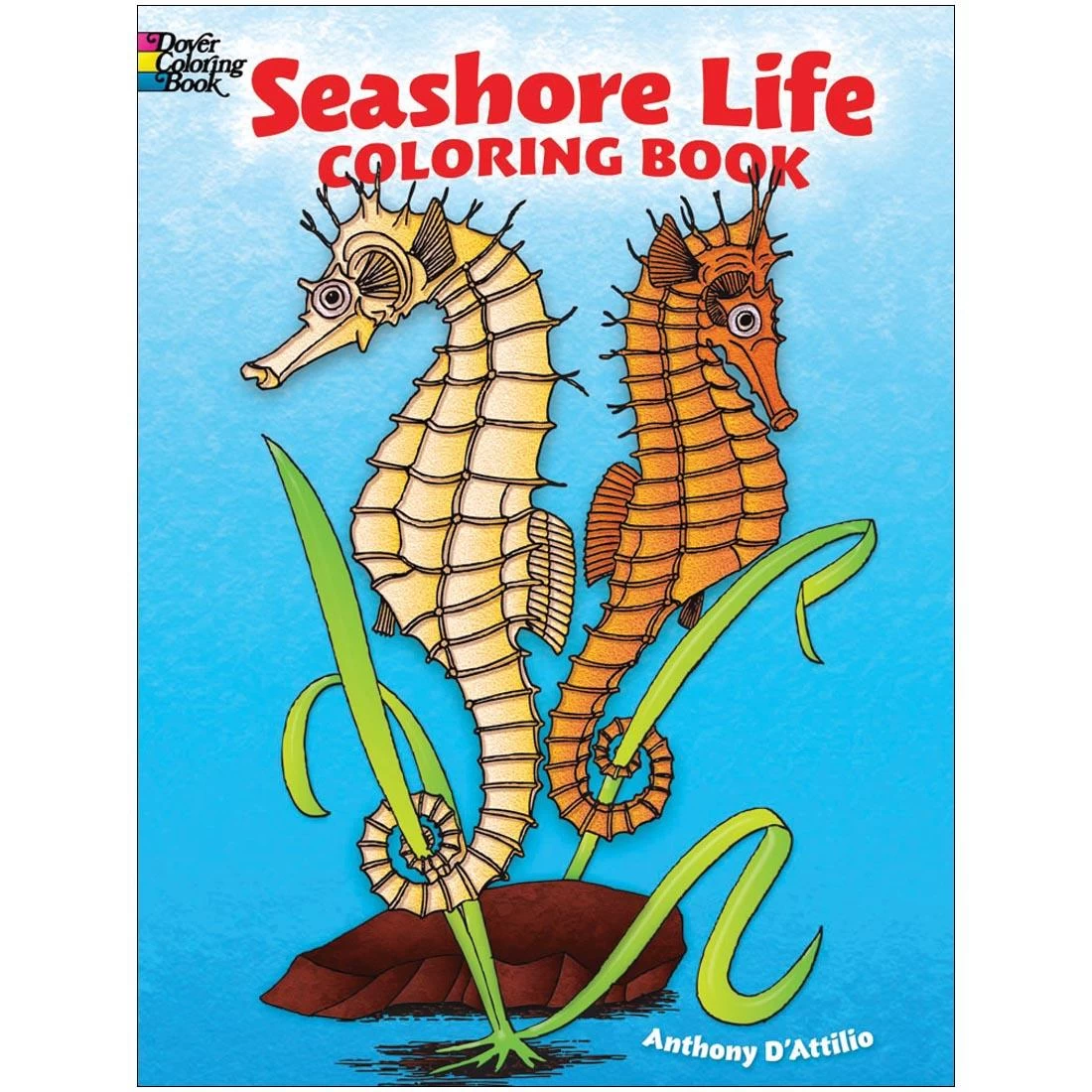Seashore Life Coloring Book By Dover 3 Seashore Life Coloring Book By Dover