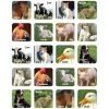 Farm Animals Theme Stickers By Eureka -Children Book Store EU655041 media