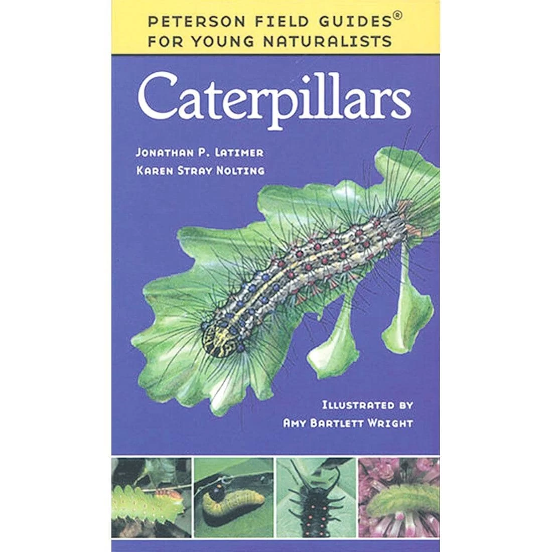 Caterpillars Peterson Field Guide For Young Naturalists 3 Caterpillars Peterson Field Guide For Young Naturalists