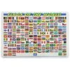 Painless Learning Placemat: Flags Of The World -Children Book Store MRC FLG media 1