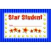 Star Student Incentive Punch Cards By North Star Teacher Resources -Children Book Store NS 2402 media