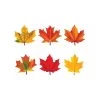 TREND Maple Leaves Discovery Mini Accents Variety Pack