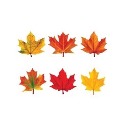 TREND Maple Leaves Discovery Mini Accents Variety Pack