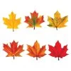 TREND Maple Leaves Discovery Variety Pack -Children Book Store T 10958 media