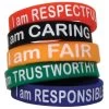 Character Traits Wristbands By Teacher Created Resources -Children Book Store TCR6569 media