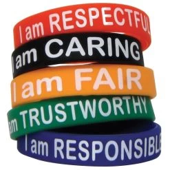 Character Traits Wristbands By Teacher Created Resources