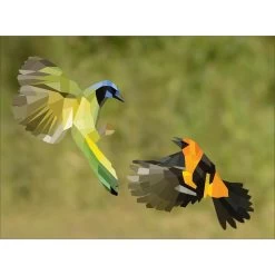 Birds Paint By Sticker -Children Book Store WOR 100012 media 3