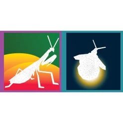 Beautiful Bugs Paint By Sticker Kids -Children Book Store WOR 100295 media 4