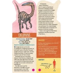 Fandex Kids: Dinosaurs -Children Book Store WOR 101207 media 5