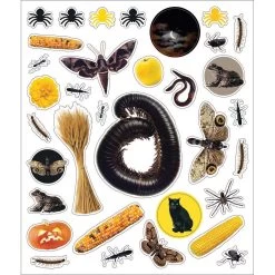 Eye Like Halloween Stickers -Children Book Store WOR 170891 media 3