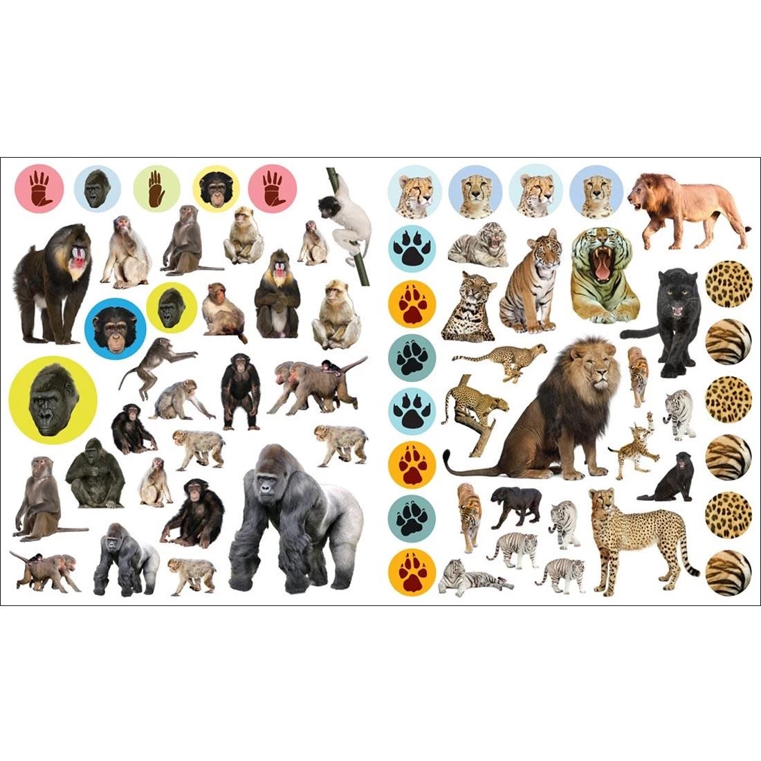 Eye Like Wild Animals Stickers 4 Eye Like Wild Animals Stickers - Image 2