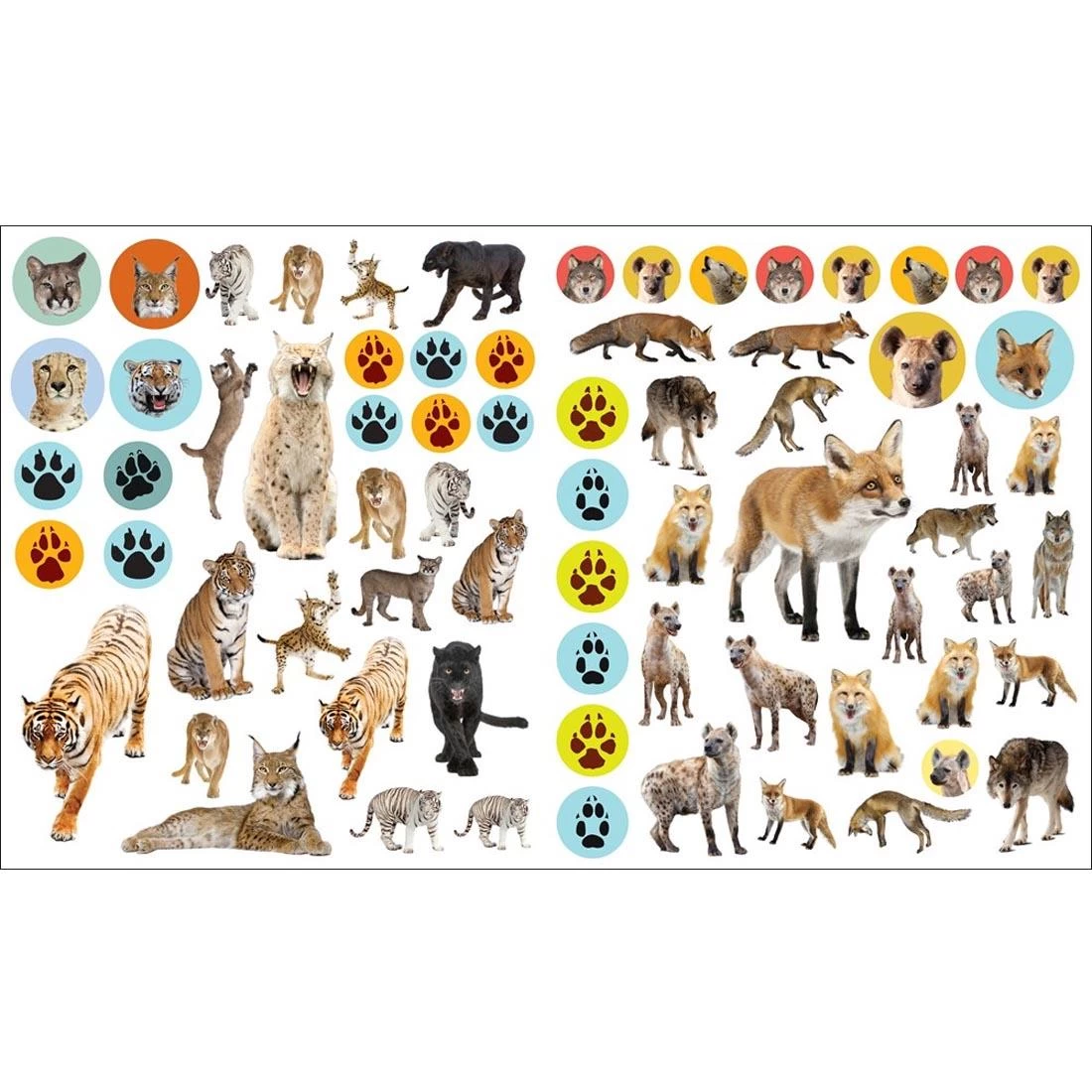 Eye Like Wild Animals Stickers 5 Eye Like Wild Animals Stickers - Image 3