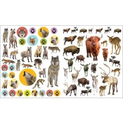 Eye Like Wild Animals Stickers 9 Eye Like Wild Animals Stickers -Children Book Store WOR 17964 media 4