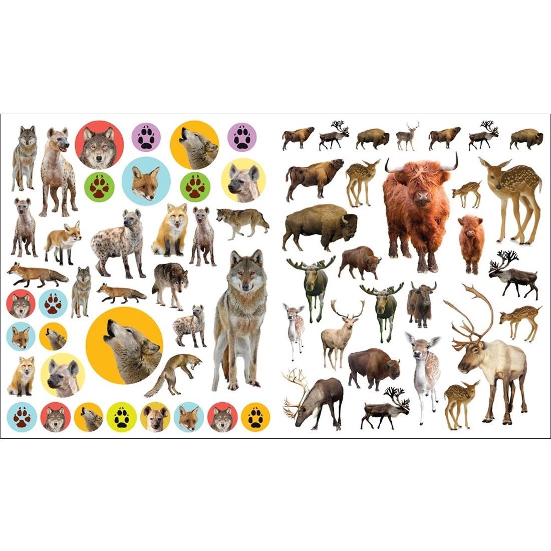 Eye Like Wild Animals Stickers 6 Eye Like Wild Animals Stickers - Image 4