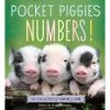 Pocket Piggies Numbers! Board Book -Children Book Store WOR 17979 media