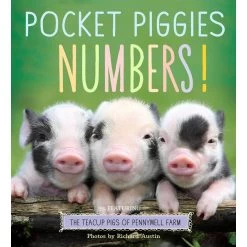 Pocket Piggies Numbers! Board Book
